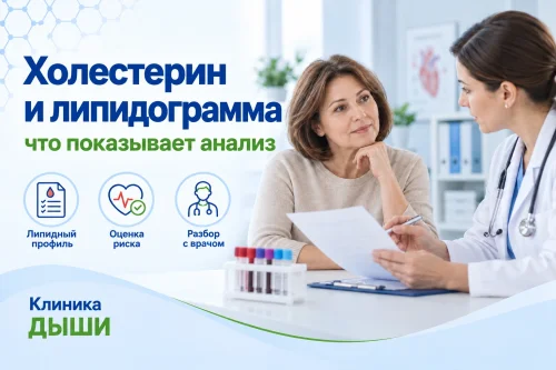 Холестерин и липидограмма: что показывает анализ