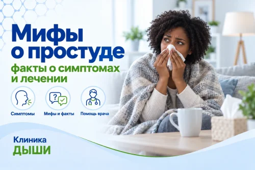 Мифы о простуде: нужно ли «пропотеть» и пить антибиотики при ОРВИ Мифы о простуде: нужно ли «пропотеть» и пить антибиотики при ОРВИ